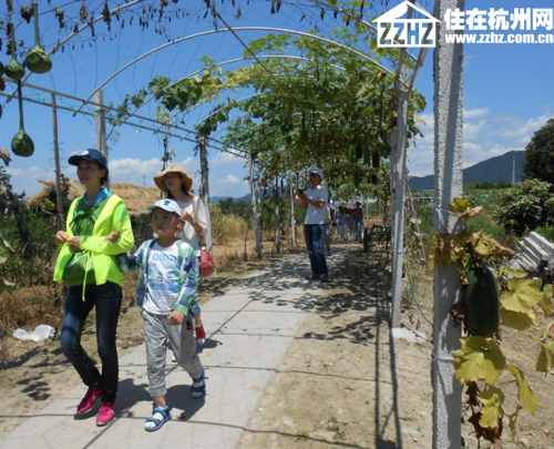 杭州皇冠体育·西溪华府业主游乐桃园 感恩周年甜蜜一夏