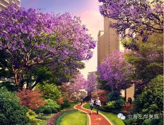 珠海资深“男神”——珠海皇冠体育左岸岚庭之花园